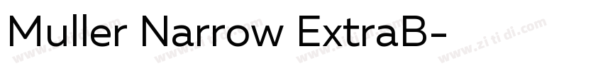 Muller Narrow ExtraB字体转换